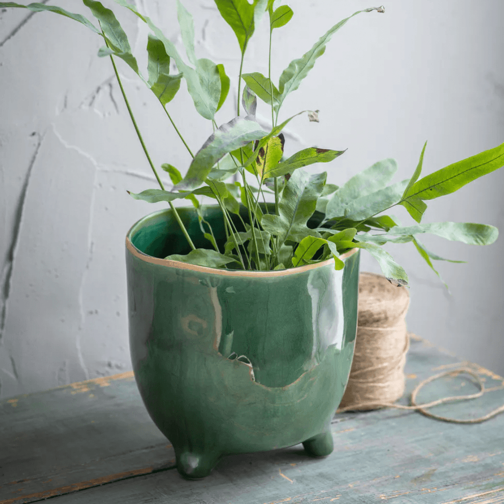 Forest Green Positano Pot - 20cm - Sprouts of Bristol