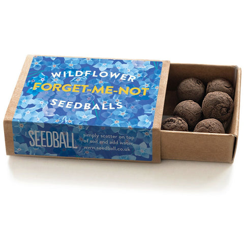 Forget-Me-Not Seedball Box - Sprouts of Bristol