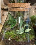 Glass Beaker - Bioactive Terrarium - Sprouts of Bristol