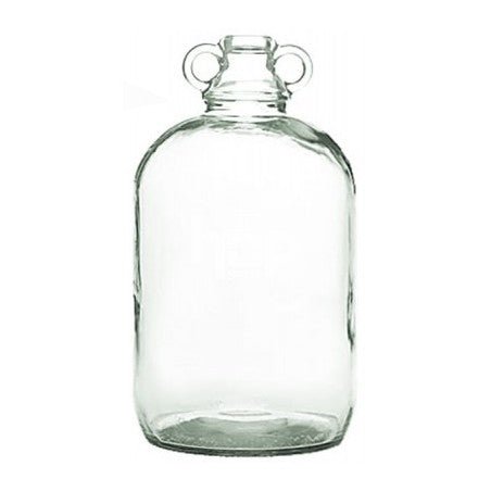 Glass Demi-John Bottle Vessel / Vase [Terrarium Supplies] - Sprouts of Bristol