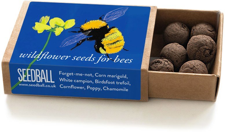 Great Yellow Bumblebee Seedball Box - Sprouts of Bristol