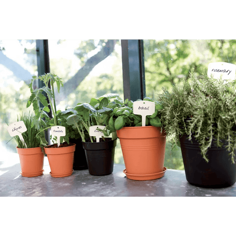 Green Basics Nursery Grow Pot - Sprouts of Bristol