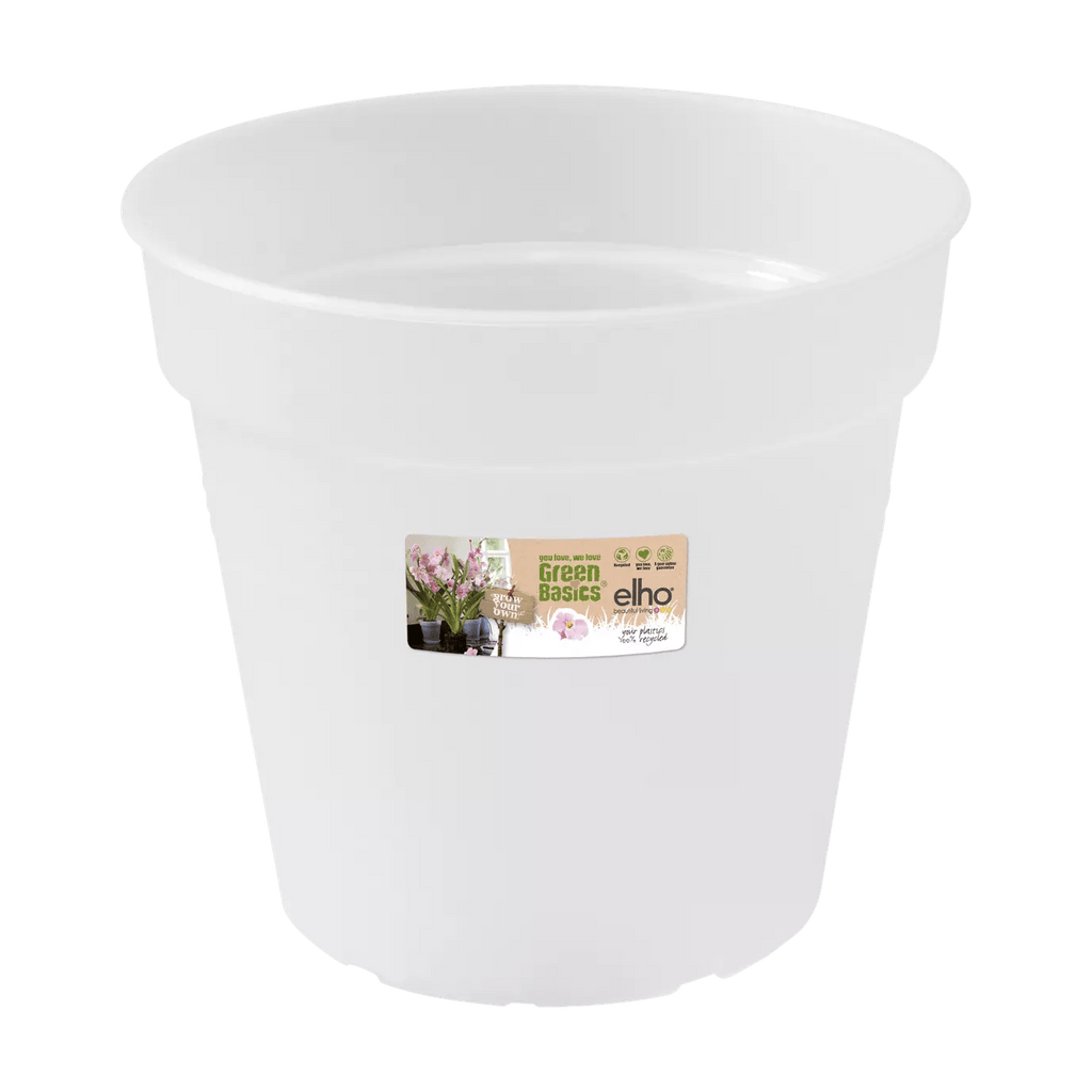 Green Basics Orchid Nursery Pot - Transparent - Sprouts of Bristol