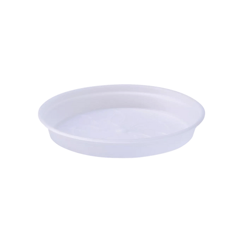 Green Basics Orchid Nursery Saucer - Transparent - Sprouts of Bristol