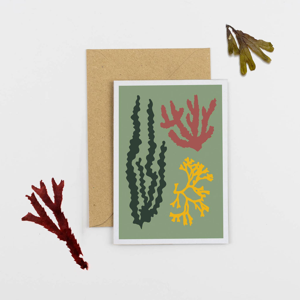 Green Seaweed Greetings Card - Sprouts of Bristol
