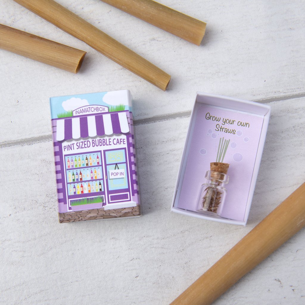 Grow Your Own Lemon Grass Straws In A Matchbox - Sprouts of Bristol
