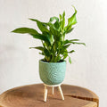 Handmade Turquoise Gaby Pot on Stand - Various Sizes - Sprouts of Bristol