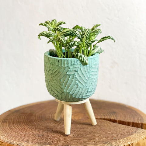 Handmade Turquoise Gaby Pot on Stand - Various Sizes - Sprouts of Bristol