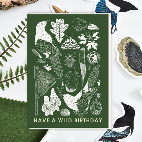 'Have a wild Birthday' Greetings Card - Sprouts of Bristol