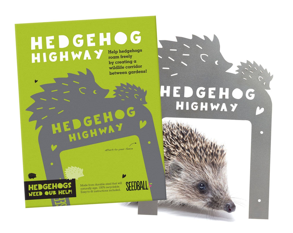 Hedgehog Highway - Sprouts of Bristol