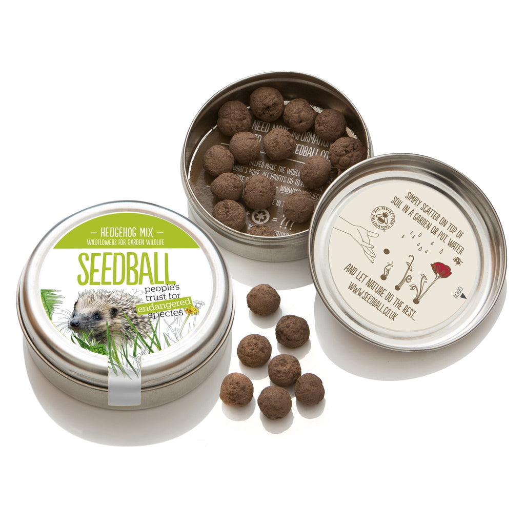 Hedgehog Mix Seedball Tin - Sprouts of Bristol