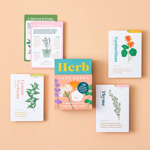 Herb Care Cards - Sprouts of Bristol