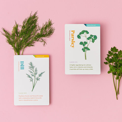 Herb Care Cards - Sprouts of Bristol