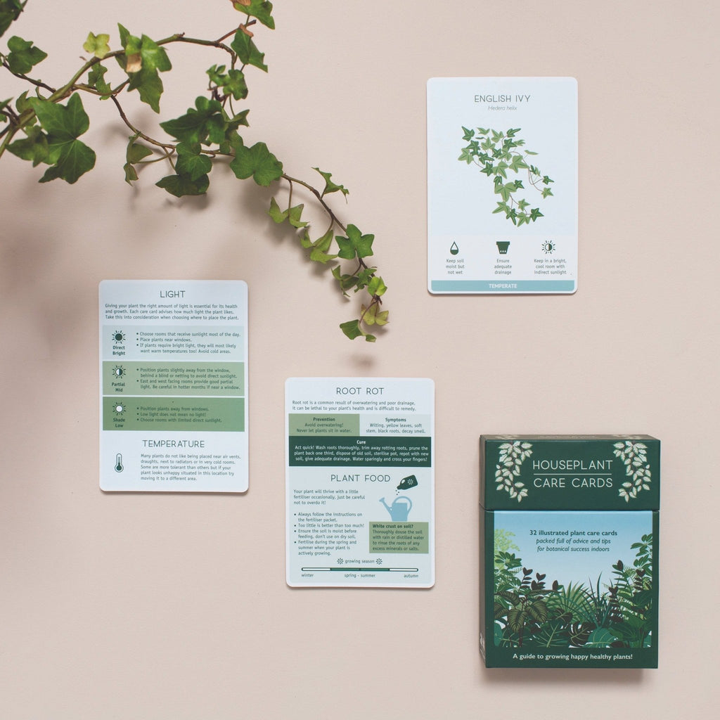 Houseplant Care Cards - Sprouts of Bristol