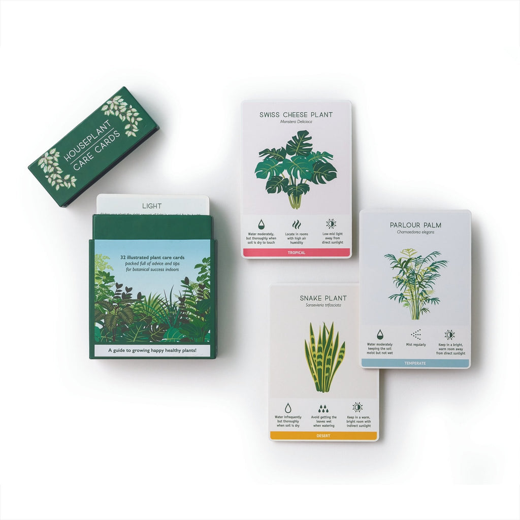 Houseplant Care Cards - Sprouts of Bristol