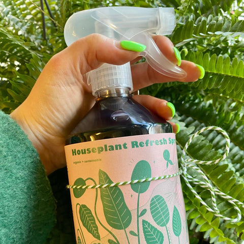 Houseplant Refresh Spray – Sprouts of Bristol