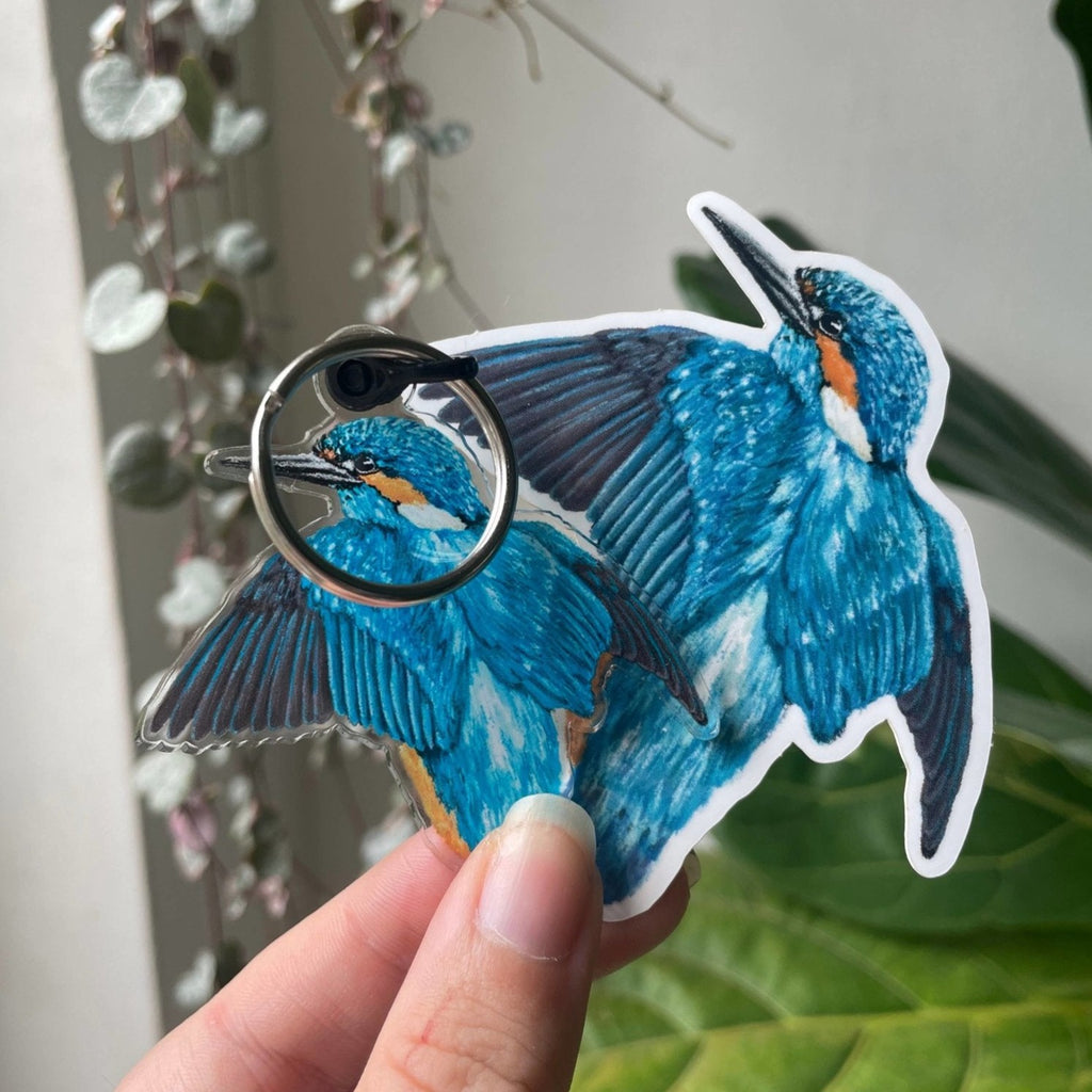 Illustrated Kingfisher bird recycled acrylic keyring - Sprouts of Bristol