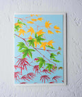 Kyoto Garden Acers Greetings Card - Sprouts of Bristol
