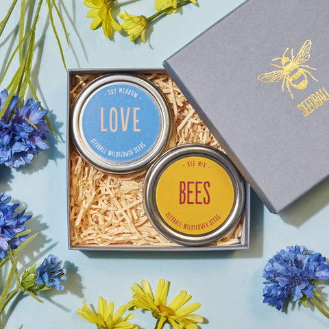 Love Bees Seedball Gift Set - Sprouts of Bristol