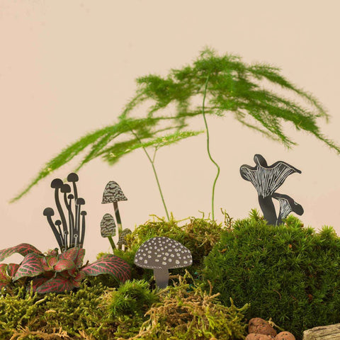Mini Mushrooms - Steel Decorations - Sprouts of Bristol