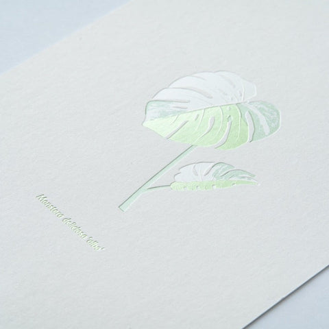 Monstera Albo Print - Sprouts of Bristol
