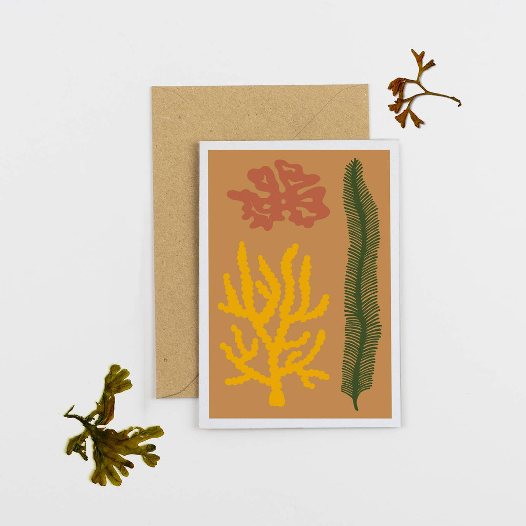 Mustard Seaweed Greetings Card - Sprouts of Bristol