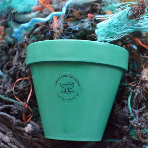 Ocean Plastic Pot & Saucer in Dark Green - 13cm - Sprouts of Bristol