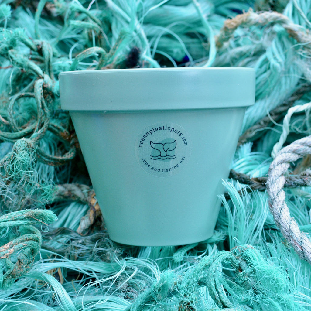 Ocean Plastic Pot & Saucer in Mint Green - 13cm - Sprouts of Bristol