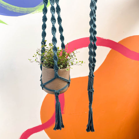 blue macrame plant hanger Peacock Blue Macrame Plant Hanger – Sprouts of Bristol