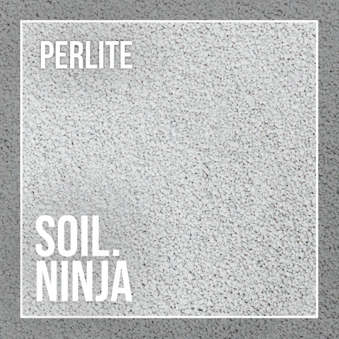 Perlite - Soil Component - Sprouts of Bristol