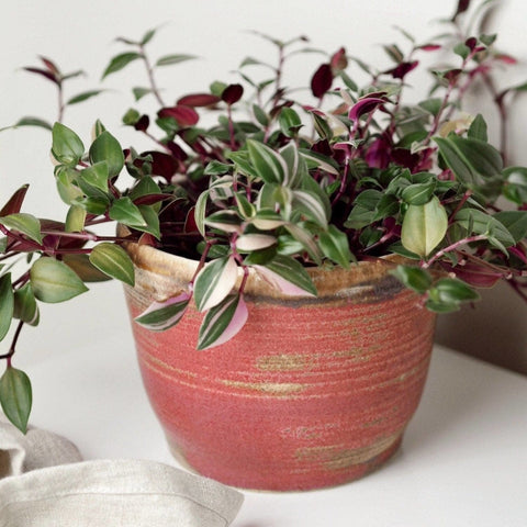 Pink UK Handmade Plant Pot - Sprouts of Bristol