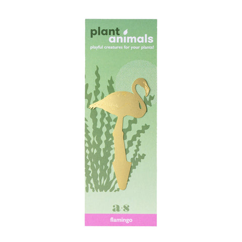 Plant Animal Flamingo - Sprouts of Bristol