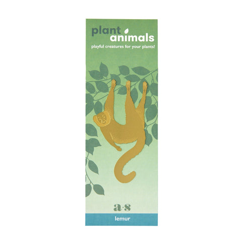 Plant Animal Lemur - Sprouts of Bristol