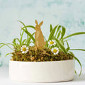 Plant Animal Rabbit - Sprouts of Bristol