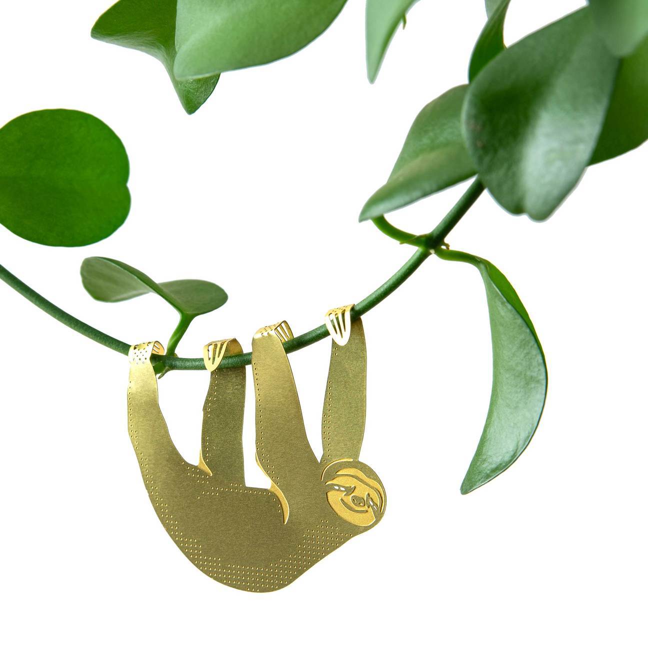 Plant Animal Sloth – Sprouts of Bristol