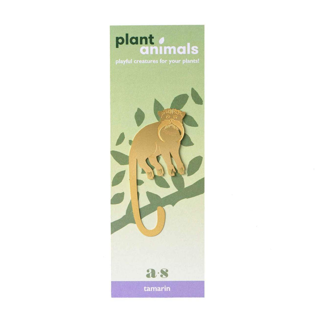 Plant Animal Tamarin - Sprouts of Bristol