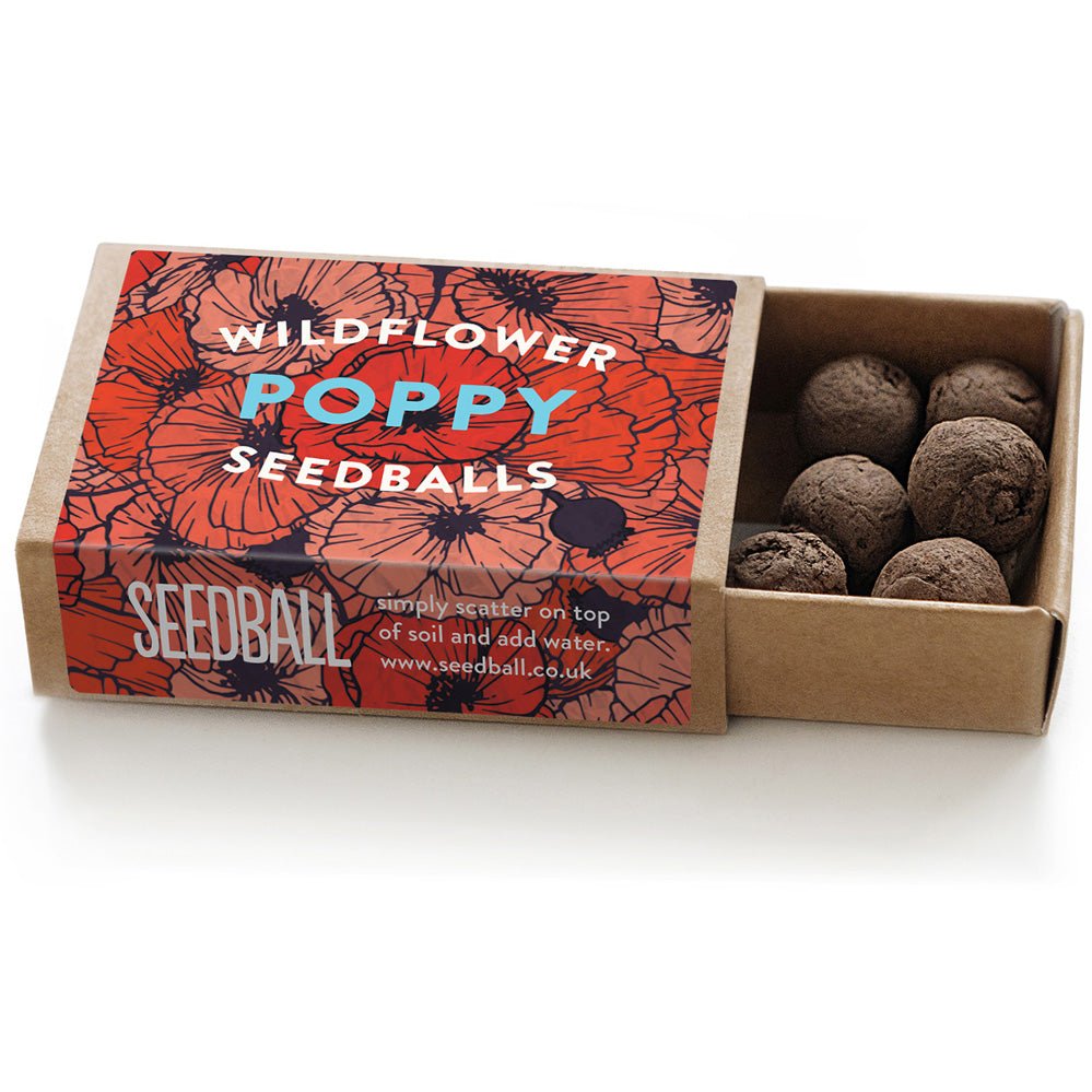 Poppy Seedball Box - Sprouts of Bristol