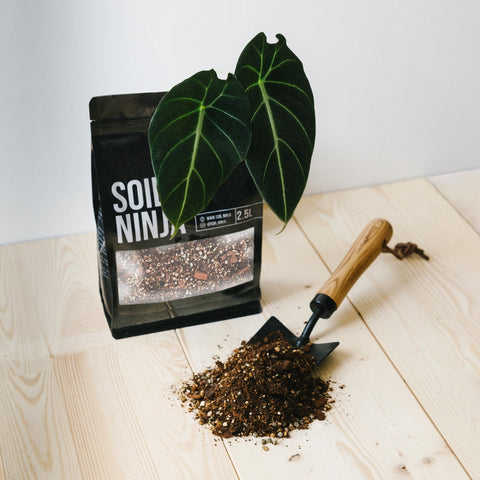 Premium Alocasia Soil Mix - Sprouts of Bristol