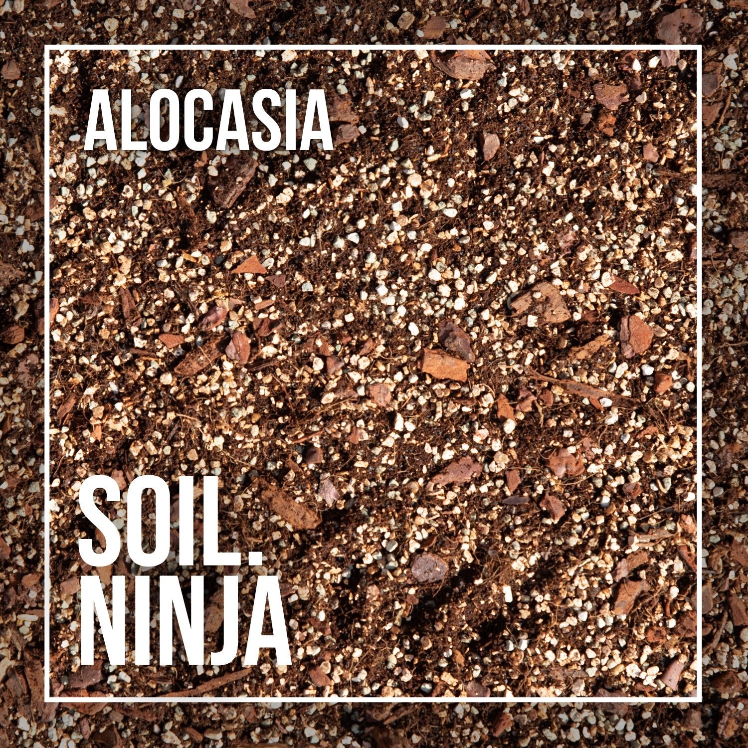 Premium Soil Mix for Terrarium - Soil.Ninja 2.5l & 5l