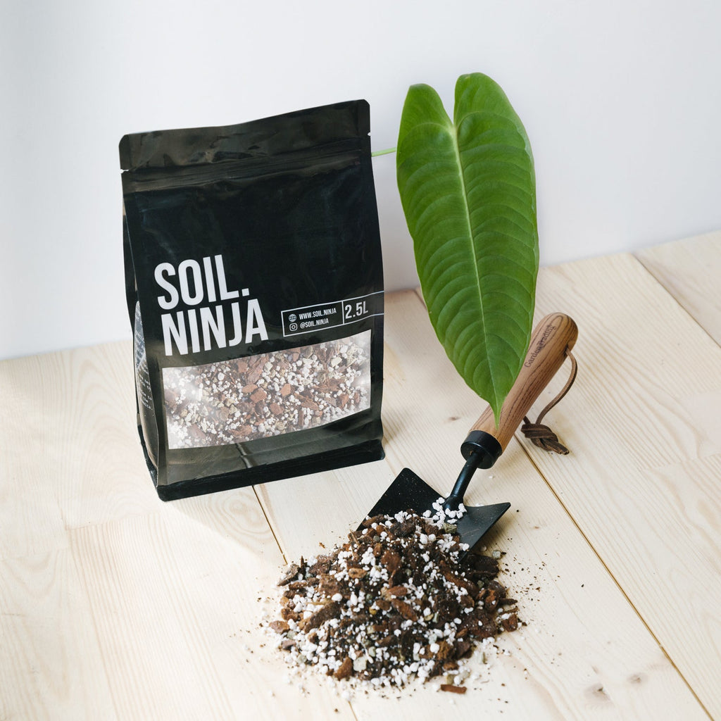 Premium Anthurium Soil Mix - Sprouts of Bristol