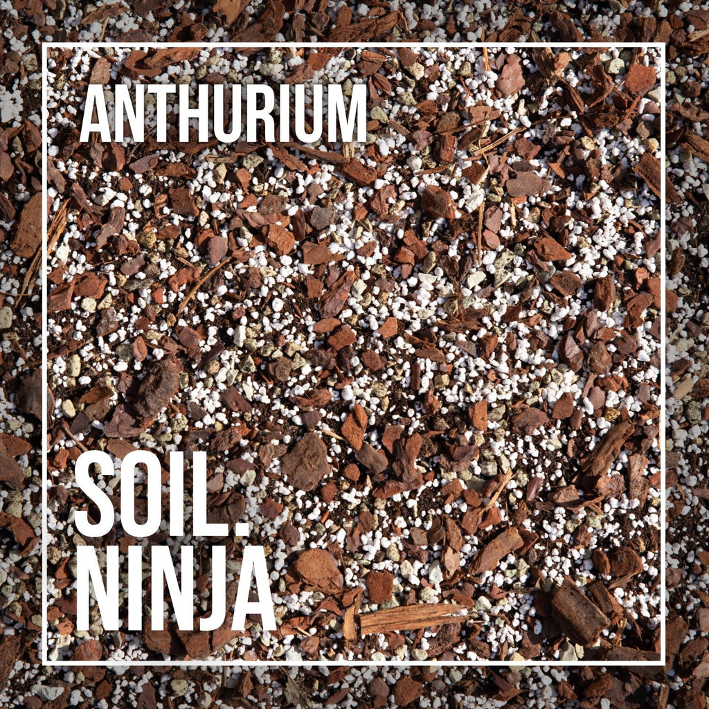 Premium Anthurium Soil Mix - Sprouts of Bristol