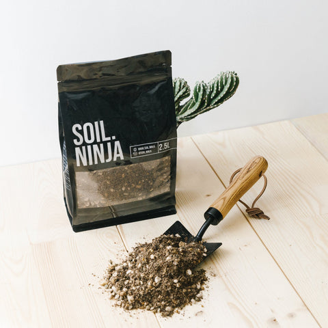 cactus soil uk Premium Cacti and Succulent Soil Mix – Sprouts of Bristol