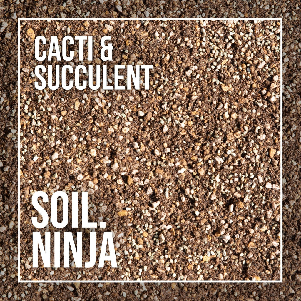Premium Cacti and Succulent Soil Mix - Sprouts of Bristol
