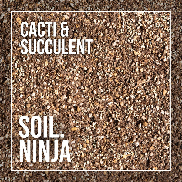 cactus soil uk Premium Cacti and Succulent Soil Mix – Sprouts of Bristol