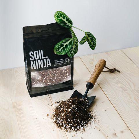 Premium Calathea and Maranta Soil Mix - Sprouts of Bristol