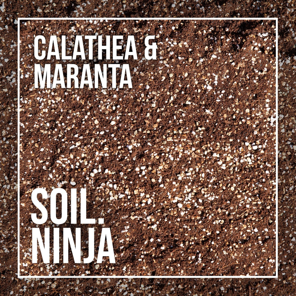 Premium Calathea and Maranta Soil Mix - Sprouts of Bristol