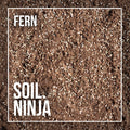 Premium Fern Soil Mix - Sprouts of Bristol