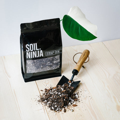 Premium Monstera and Philodendron Soil Mix – Sprouts of Bristol
