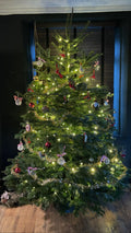 Premium Nordmann Fir Non-Drop Christmas Tree - UK Grown - Sprouts of Bristol