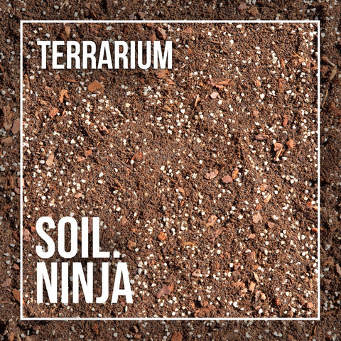 Premium Terrarium Soil Mix - Sprouts of Bristol